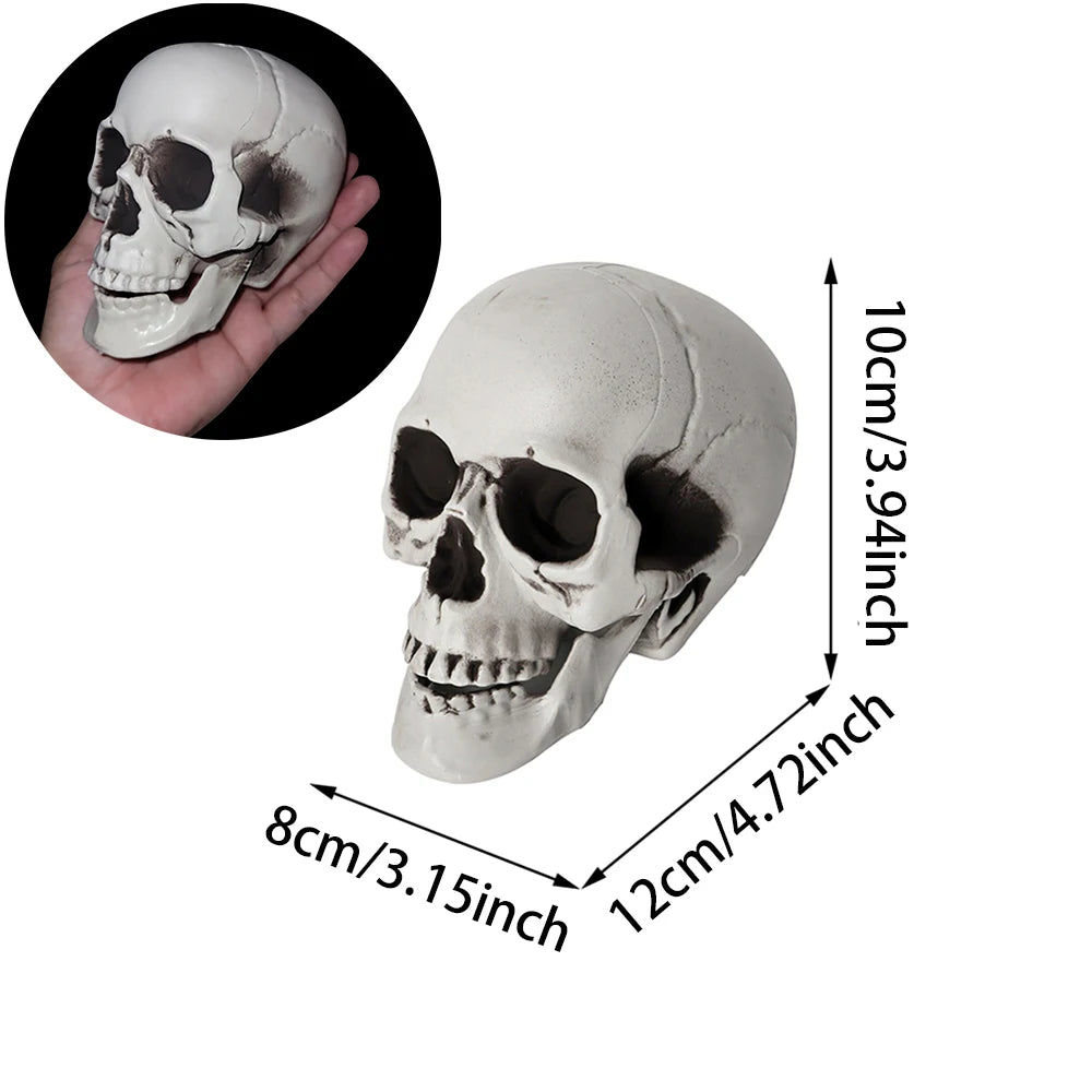 A white and gray decorative skull model shown on a white background with dimension arrows indicating 10 cm height, 8 cm width, and 12 cm depth. A circular inset at the top left shows a hand holding the skull for scale.