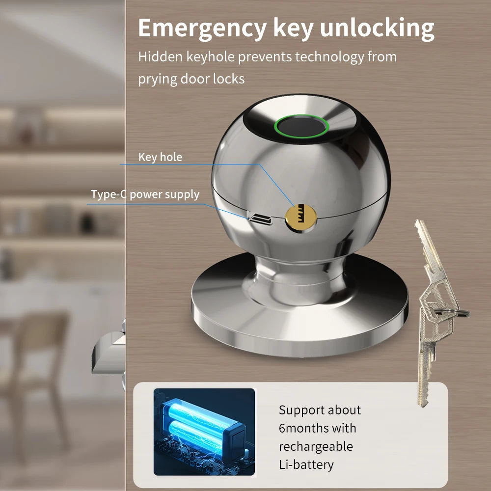 Fingerprint Smart Door Lock Handle