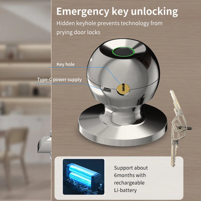 Fingerprint Smart Door Lock Handle