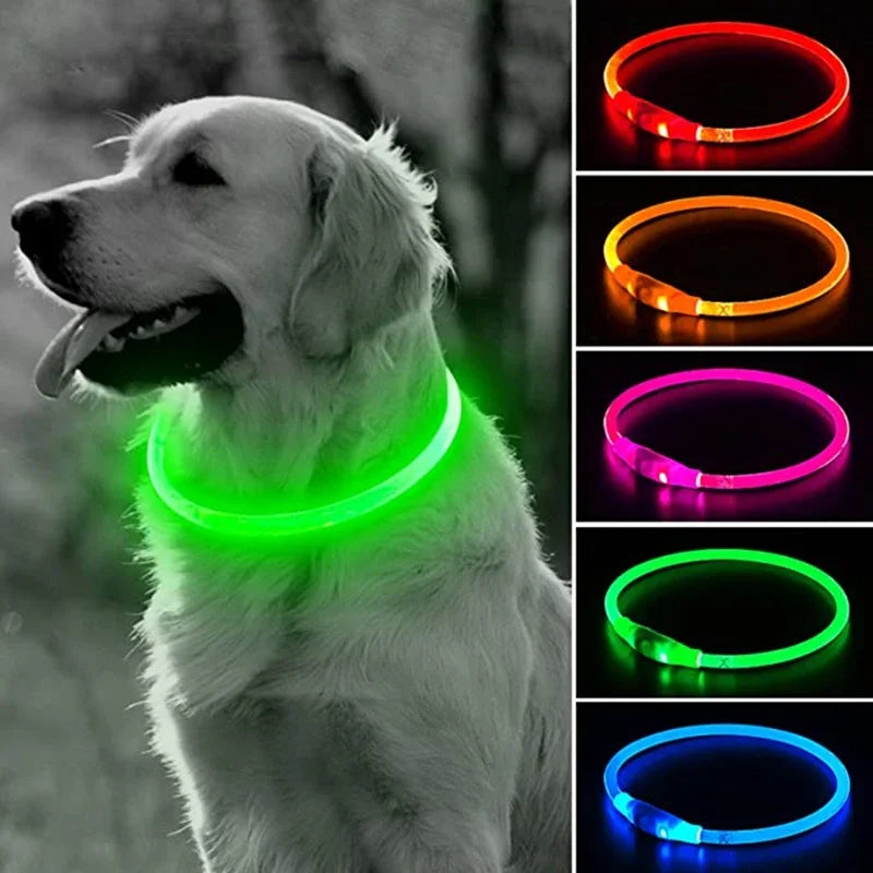 LED USB Rechargeable Dog Collar
