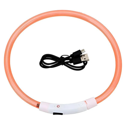 LED USB Rechargeable Dog Collar