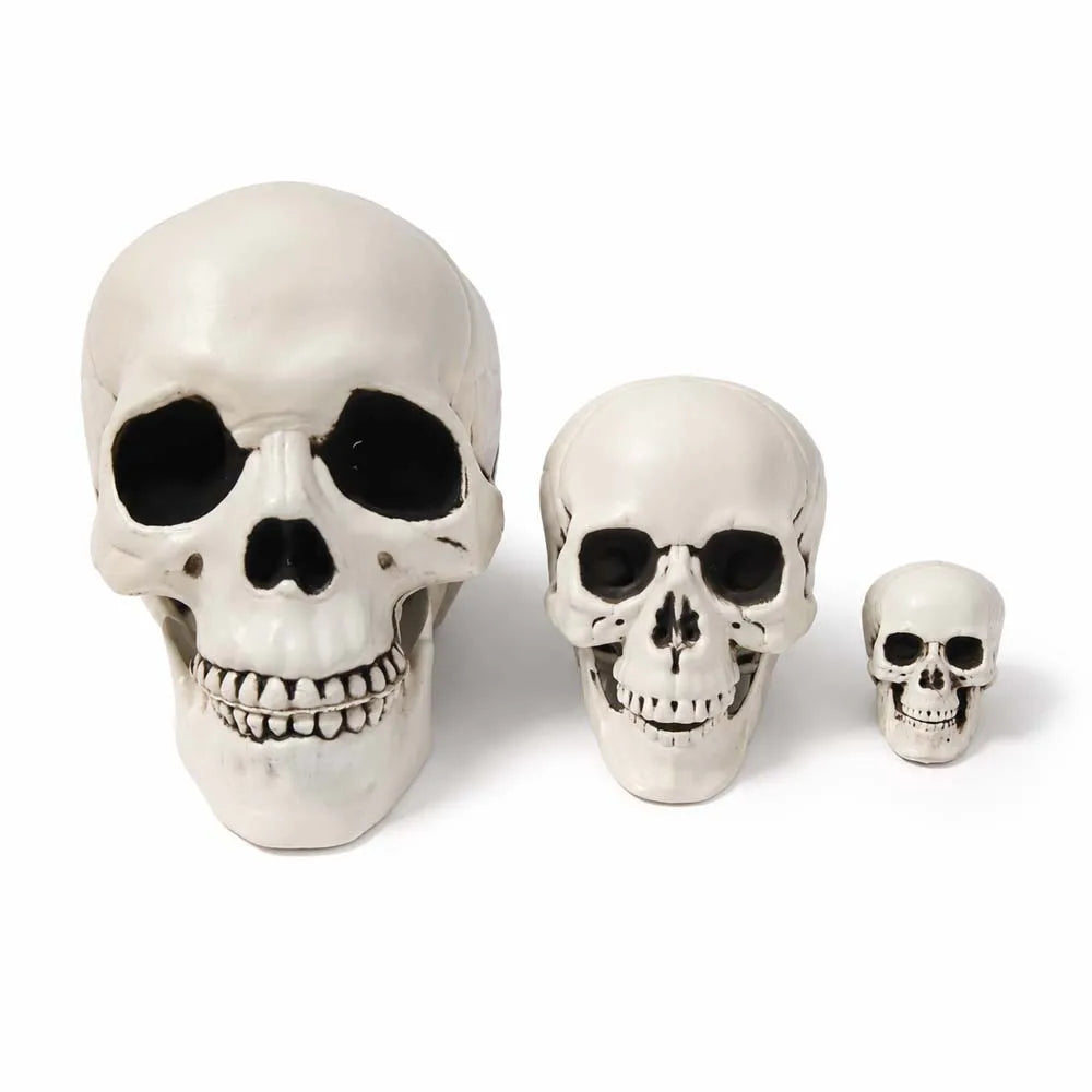 Three decorative skull figurines in different sizes arranged from largest to smallest on a plain white background.