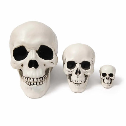 Three decorative skull figurines in different sizes arranged from largest to smallest on a plain white background.