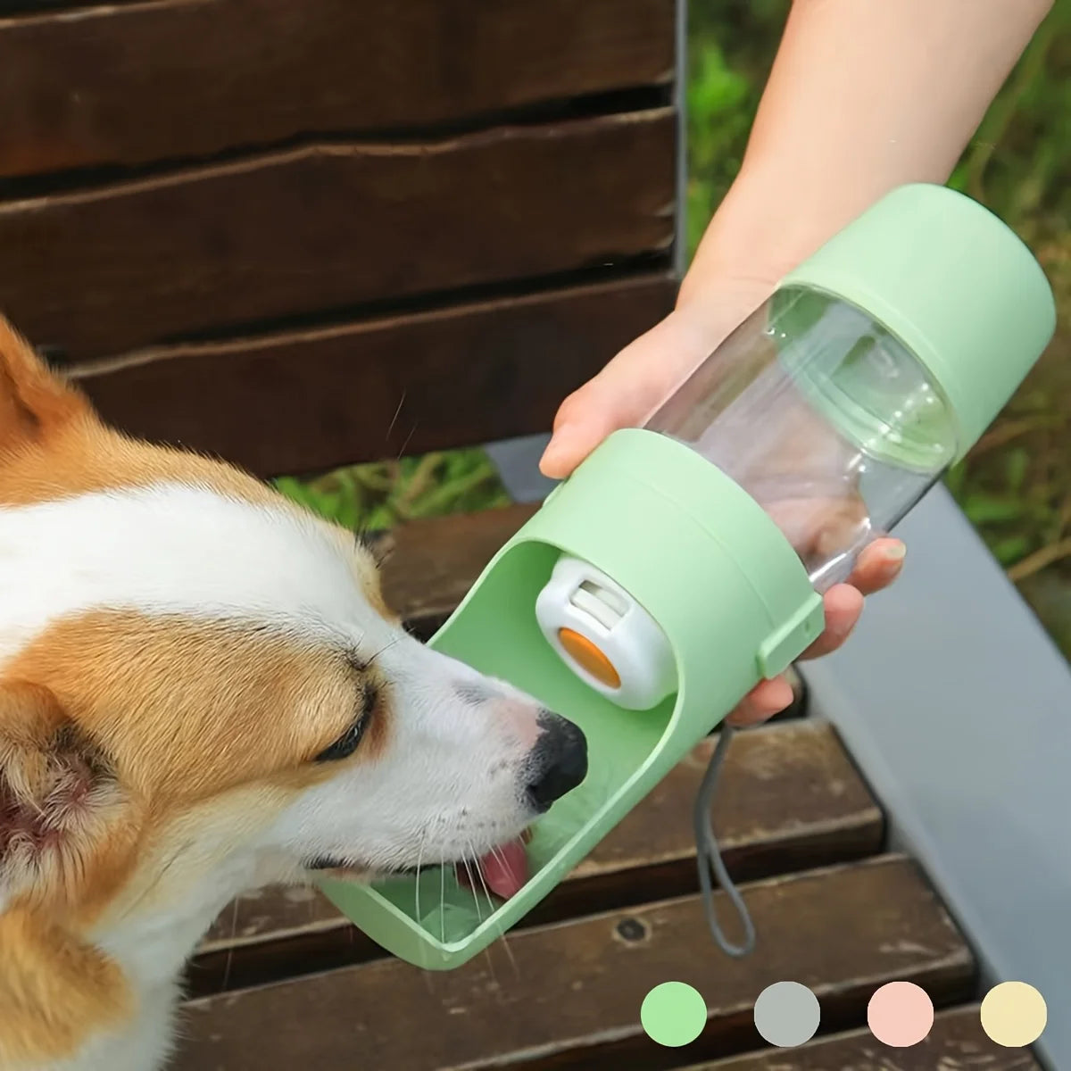 Leak-proof portable water bottle for dogs during walks