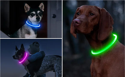 LED USB Rechargeable Dog Collar