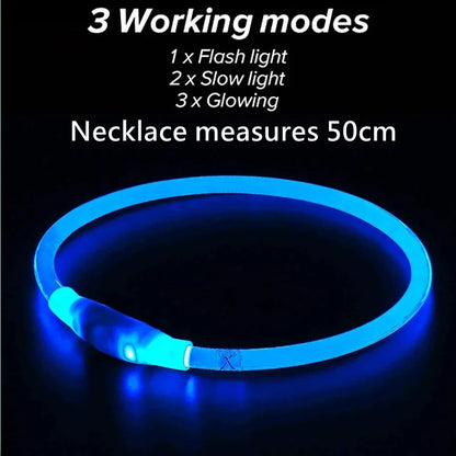 LED USB Rechargeable Dog Collar