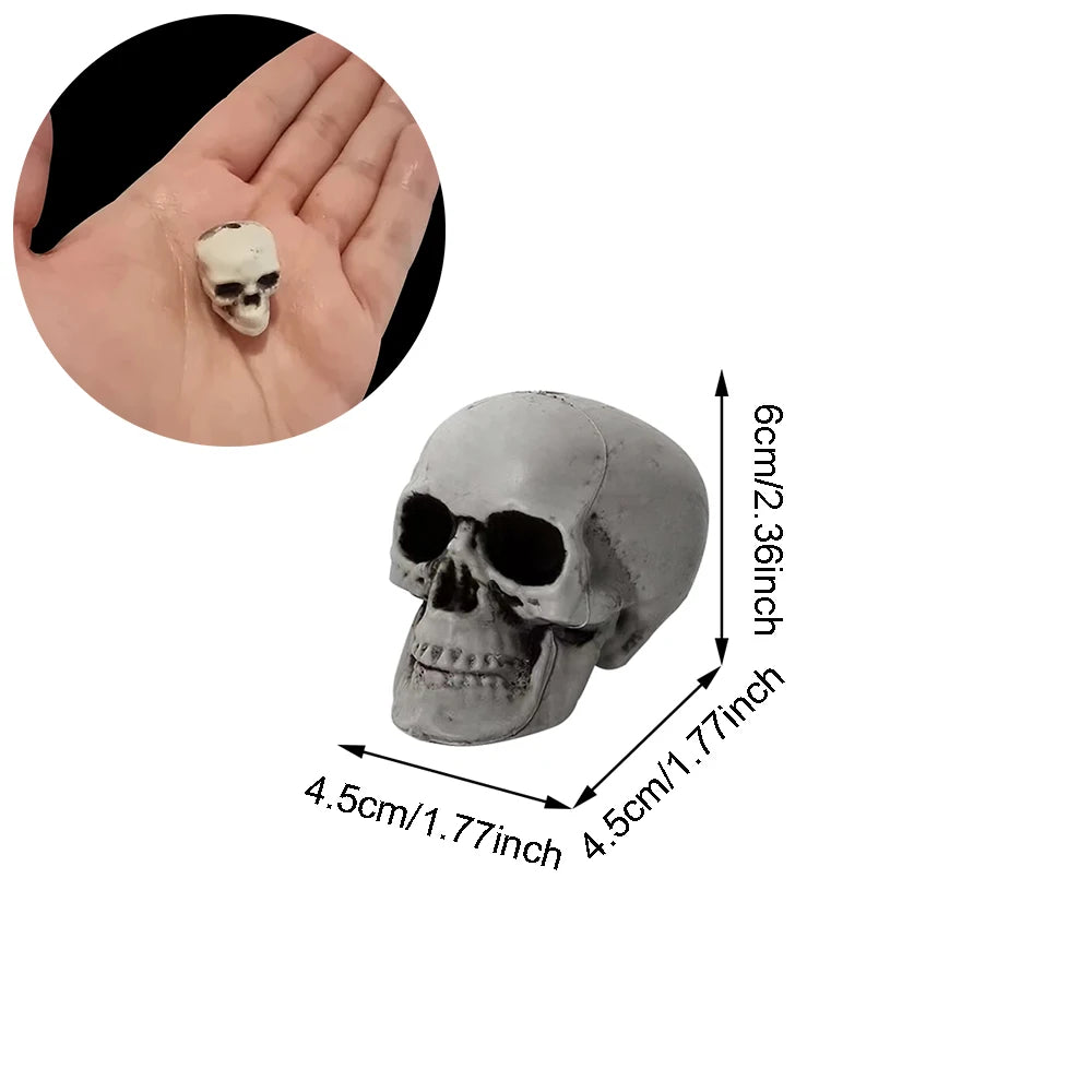 Small skull figurine with dimensions indicated on a white background