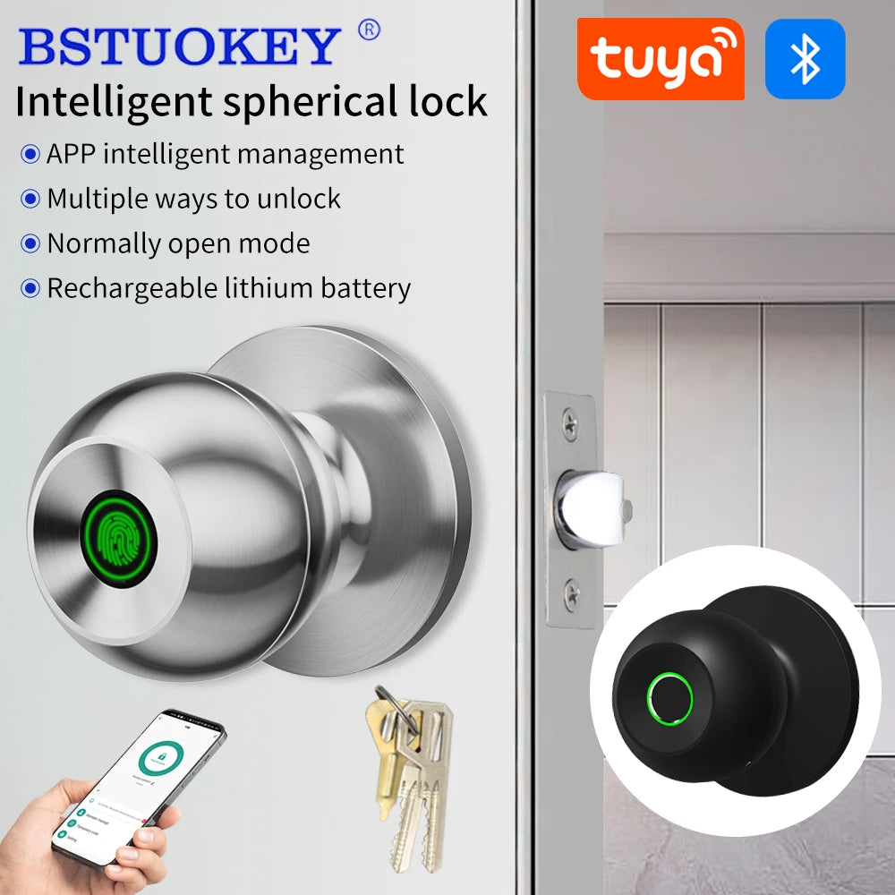 Fingerprint Smart Door Lock Handle