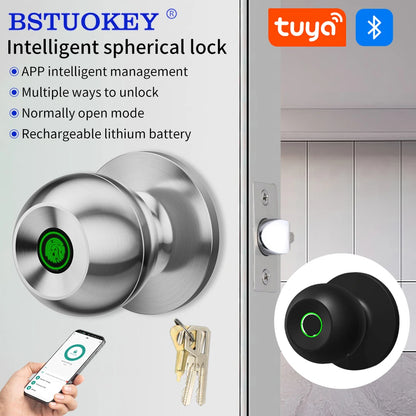Fingerprint Smart Door Lock Handle