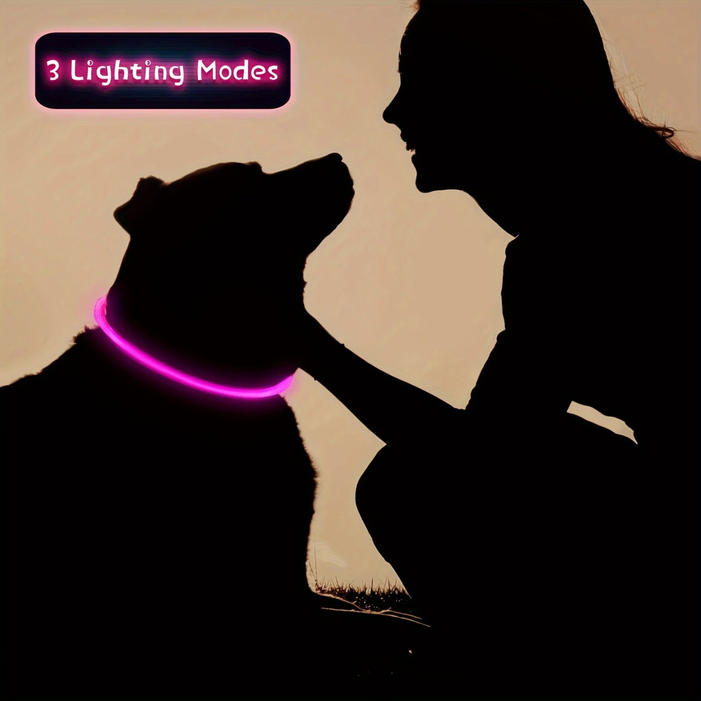 LED USB Rechargeable Dog Collar