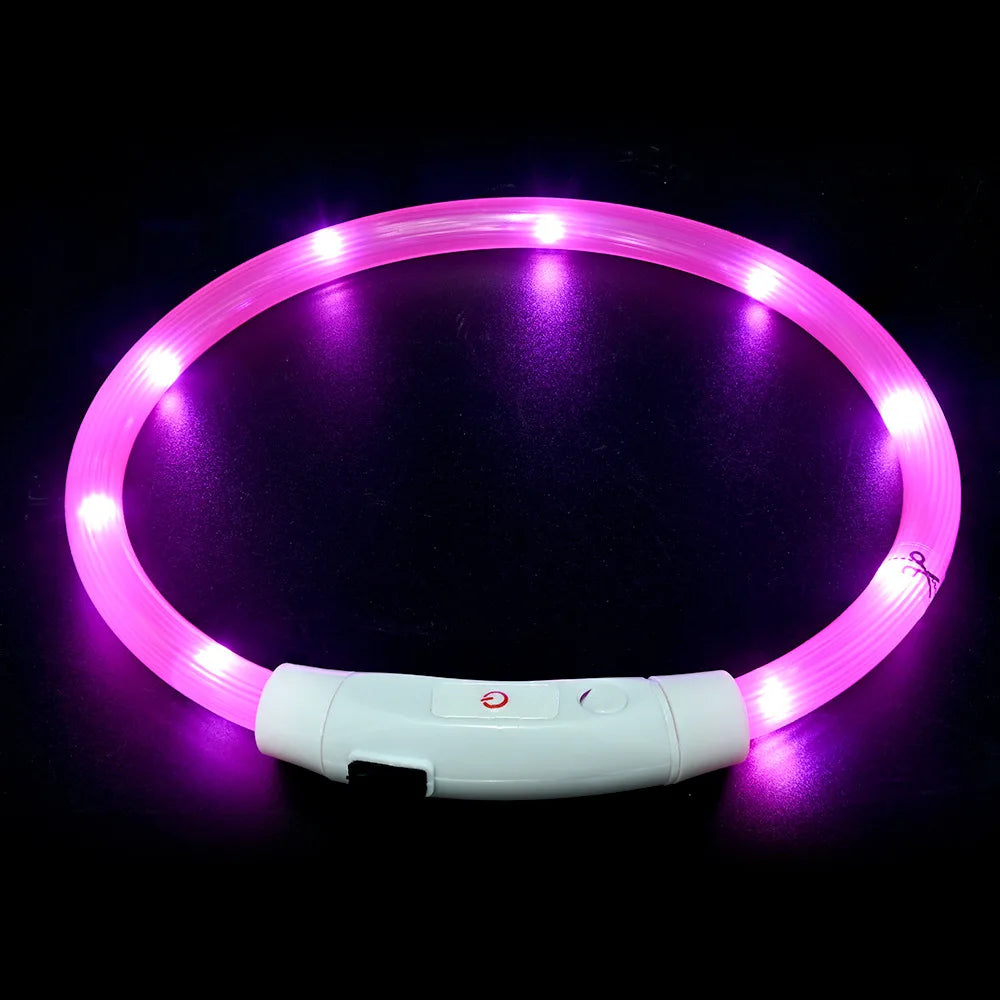 LED USB Rechargeable Dog Collar