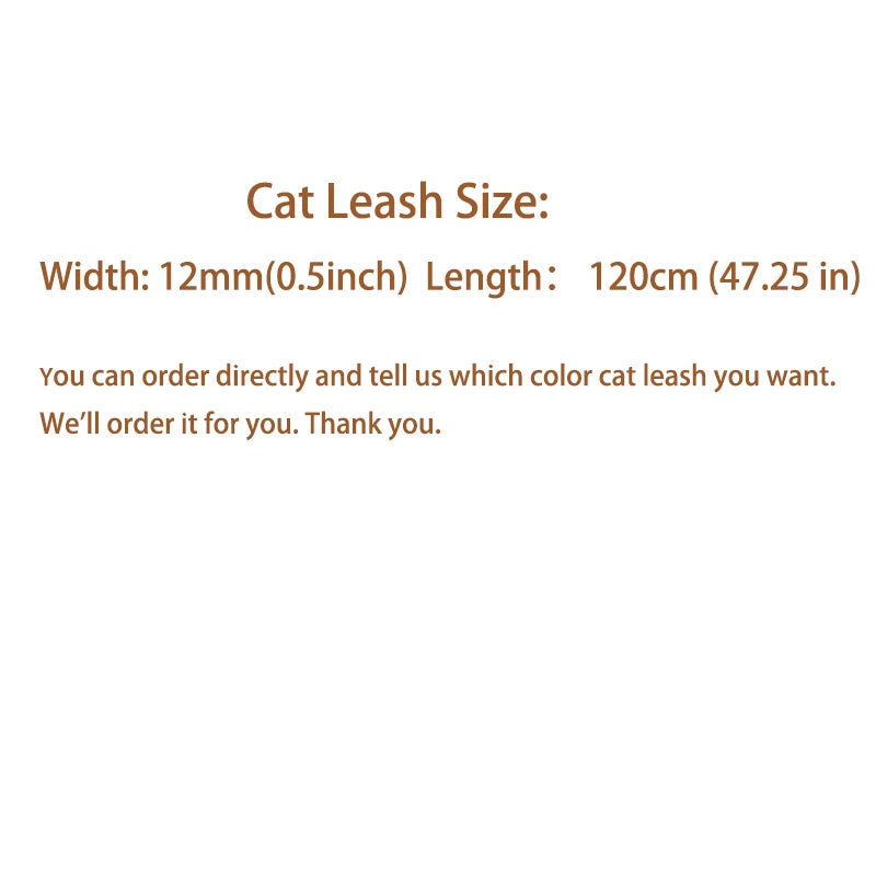 Cat & Small Dog Collar with Name Tag