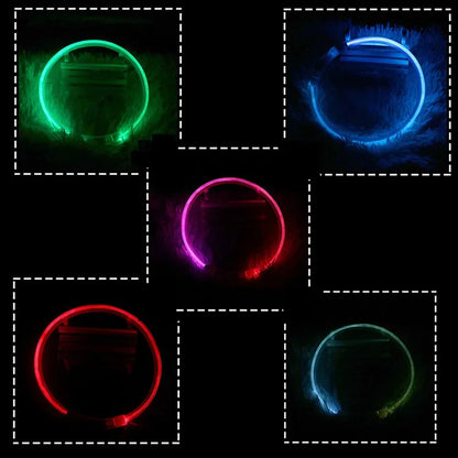 LED USB Rechargeable Dog Collar