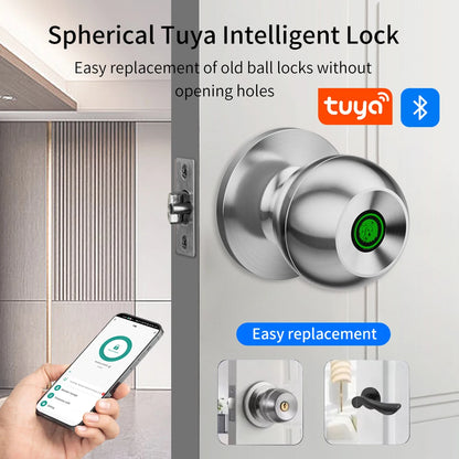 Fingerprint Smart Door Lock Handle