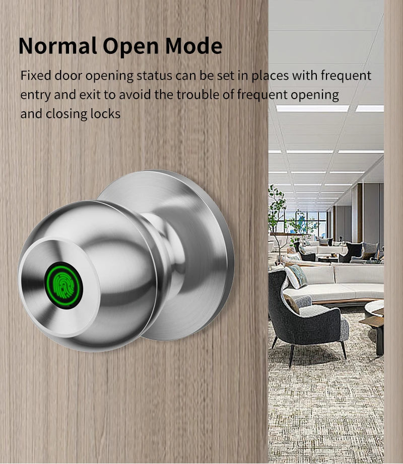Fingerprint Smart Door Lock Handle