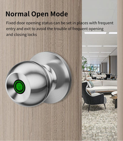 Fingerprint Smart Door Lock Handle
