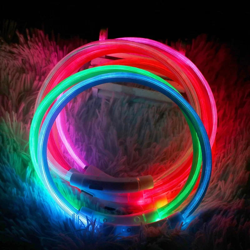 LED USB Rechargeable Dog Collar