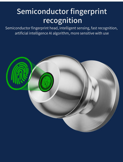 Fingerprint Smart Door Lock Handle
