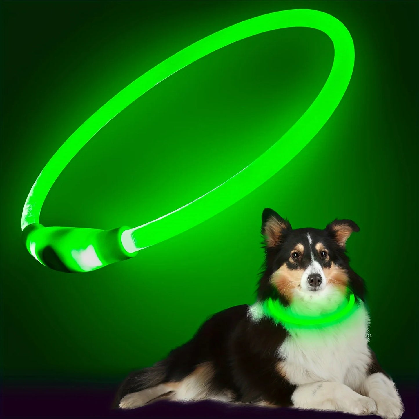 LED USB Rechargeable Dog Collar