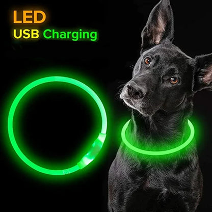LED USB Rechargeable Dog Collar