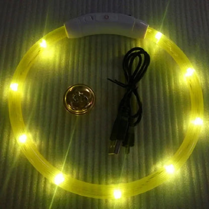 LED USB Rechargeable Dog Collar
