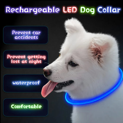 LED USB Rechargeable Dog Collar