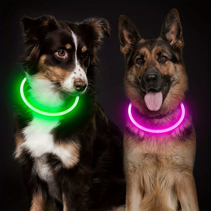 LED USB Rechargeable Dog Collar