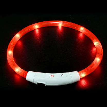 LED USB Rechargeable Dog Collar