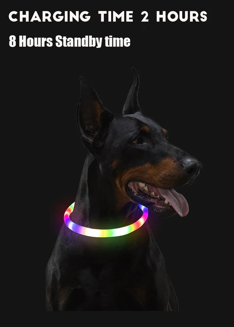 LED USB Rechargeable Dog Collar