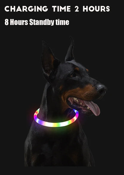 LED USB Rechargeable Dog Collar