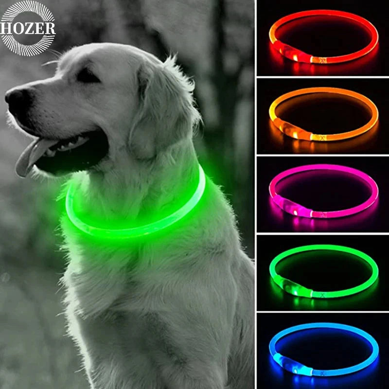 LED USB rechargeable dog collar with bright illuminated design, adjustable fit, and waterproof material for improved visibility during walks.