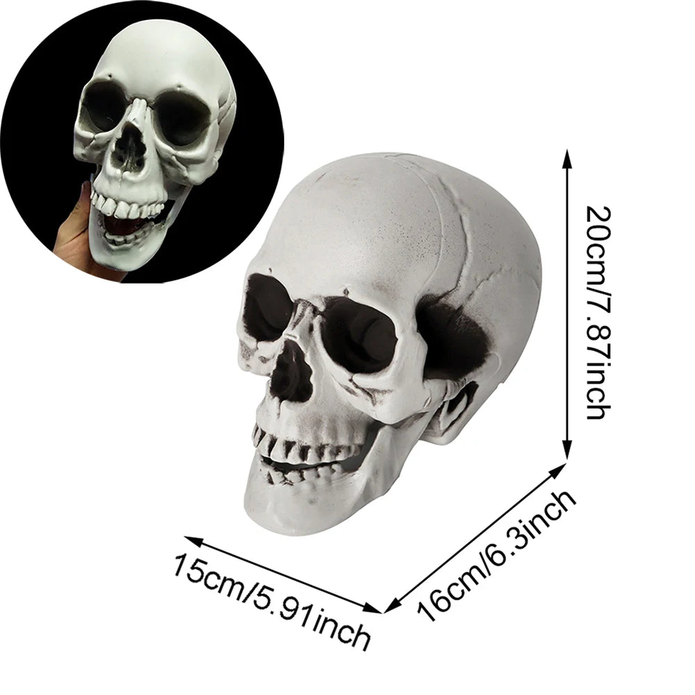Skull-shaped mask with measurements on a white background