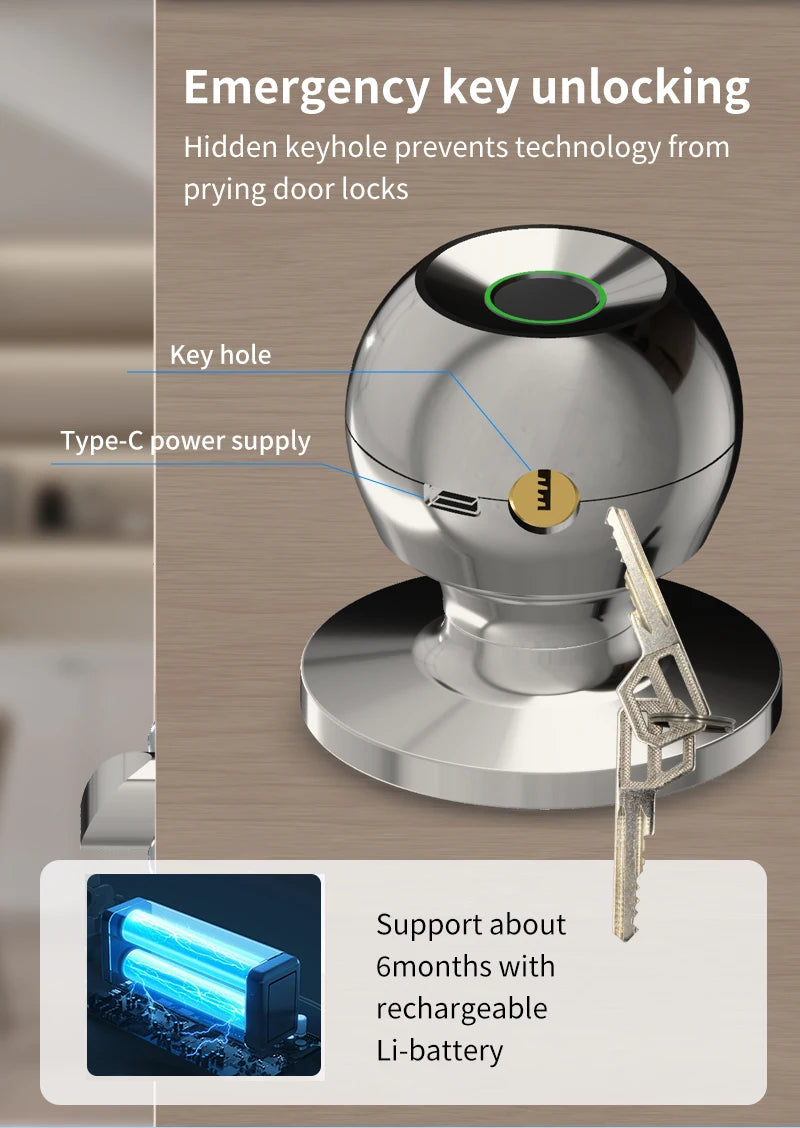 Fingerprint Smart Door Lock Handle