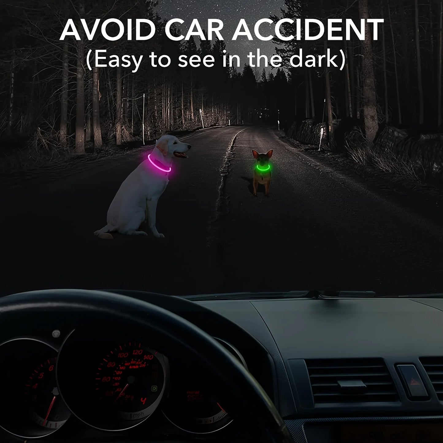 LED USB Rechargeable Dog Collar