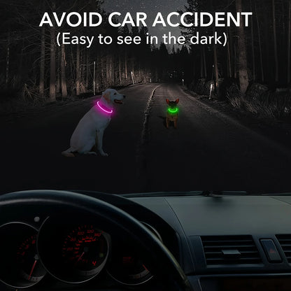 LED USB Rechargeable Dog Collar