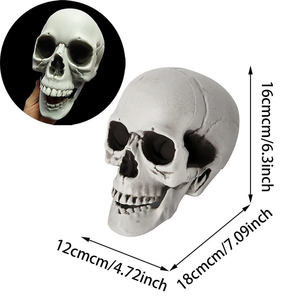 A white plastic Halloween skull model shown with dimension arrows and text indicating measurements of 18cm x 16cm x 12cm, plus a circular inset showing a hand holding the skull against a black background.