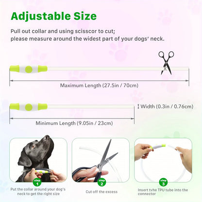LED USB Rechargeable Dog Collar