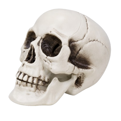 Halloween skull decoration made from plastic for spooky party, haunted house and home decor