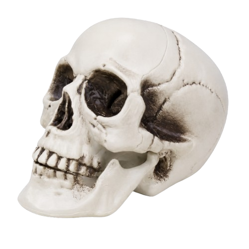 Halloween skull decoration made from plastic for spooky party, haunted house and home decor